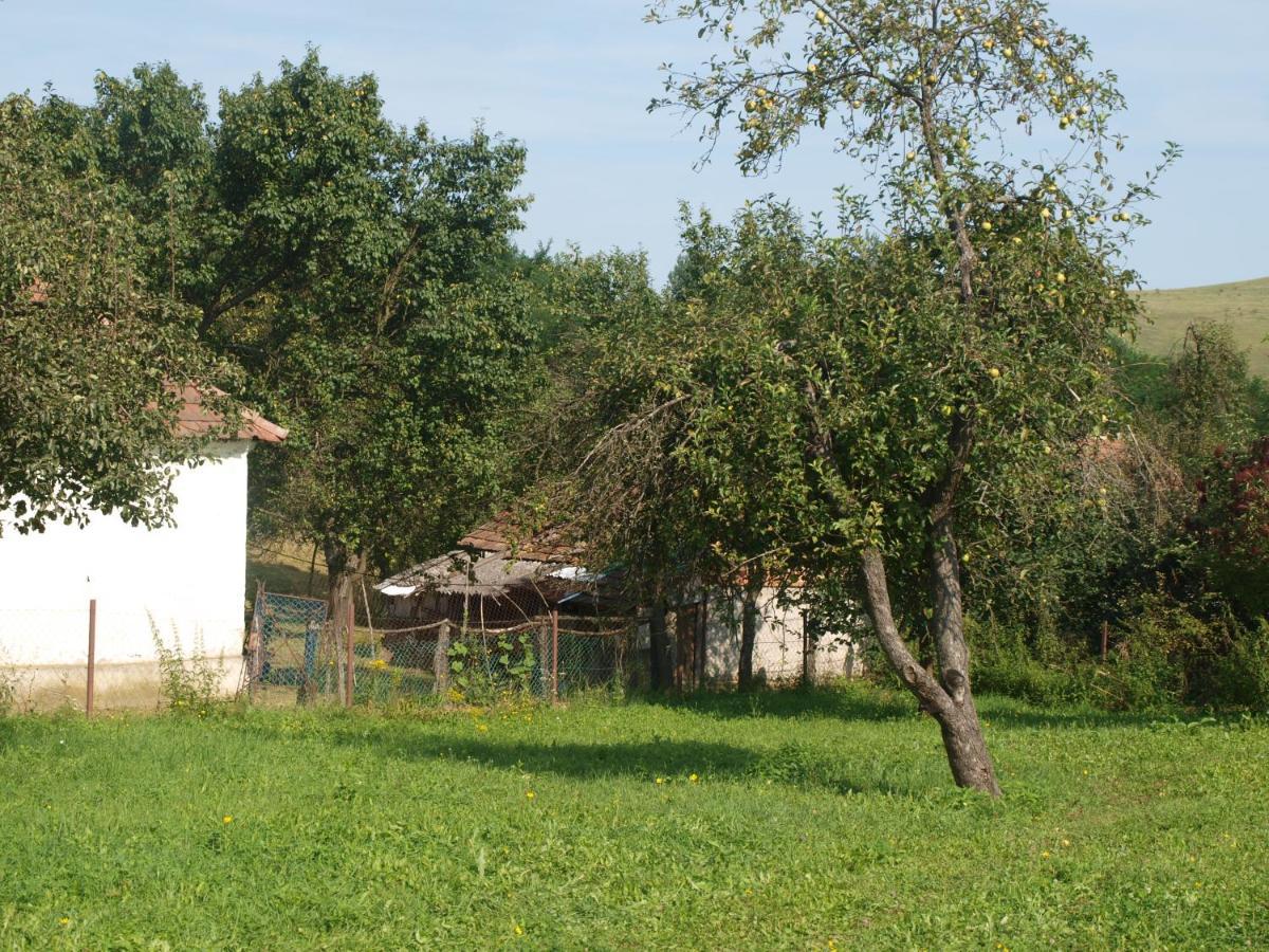 Villa Rozsa Haz à Csernely Extérieur photo